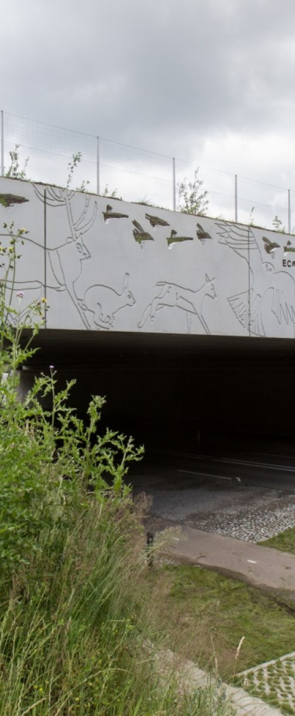 Ecoduct-Boele-Staal