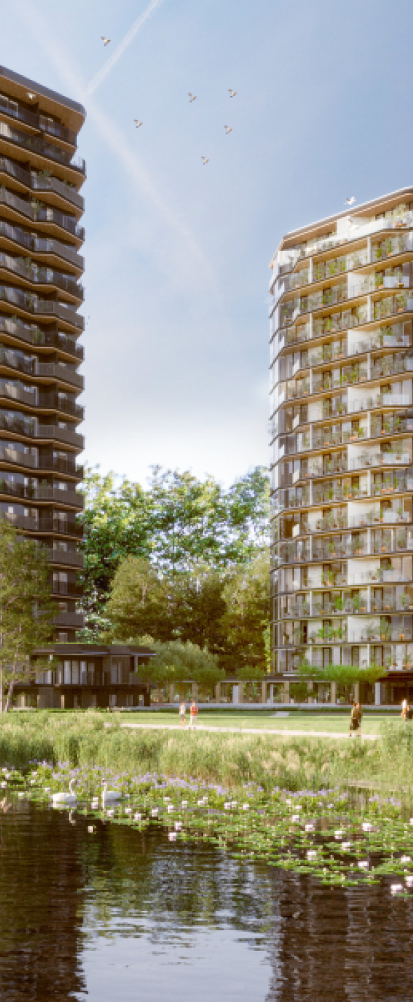 Park_Meadows_visuals_01