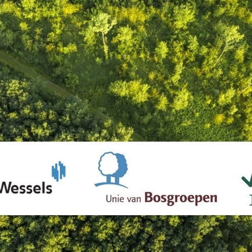 Klimaatslim bosbeheer.jpg
