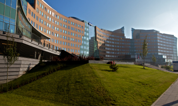 1248-101.jpg