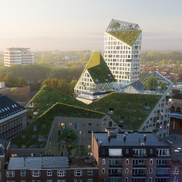 Nieuw_Bergen